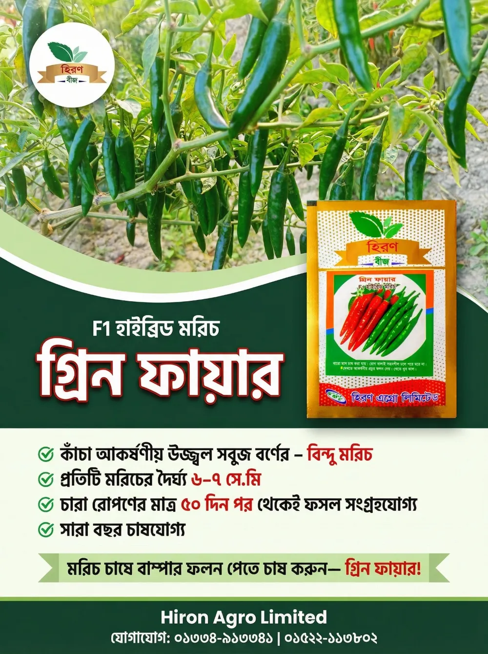 F1 হাইব্রিড মরিচ — গ্রিন ফায়ার! - Image 2