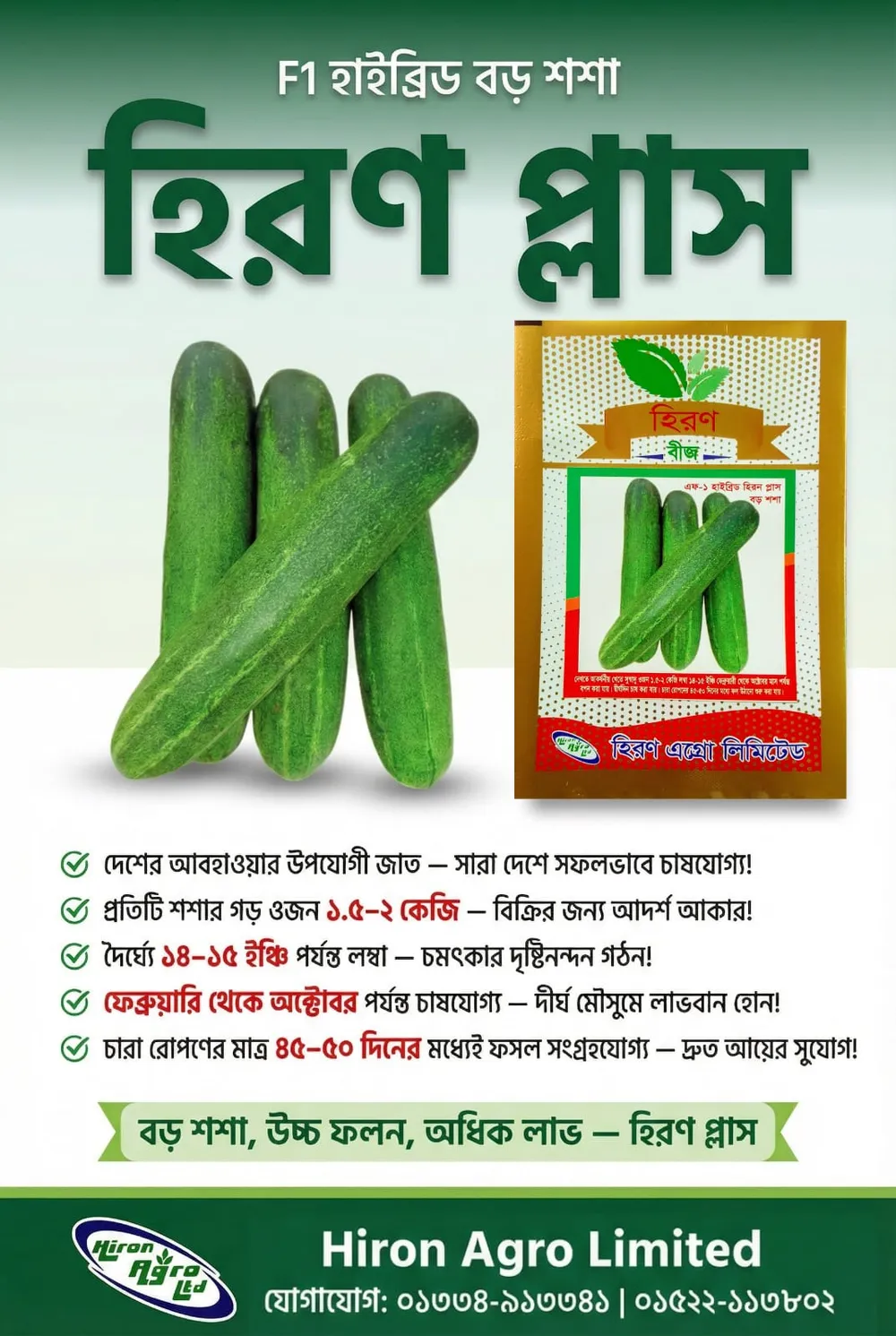 এফ-১ হাইব্রিড বড় শশা হিরণ প্লাস - Image 2