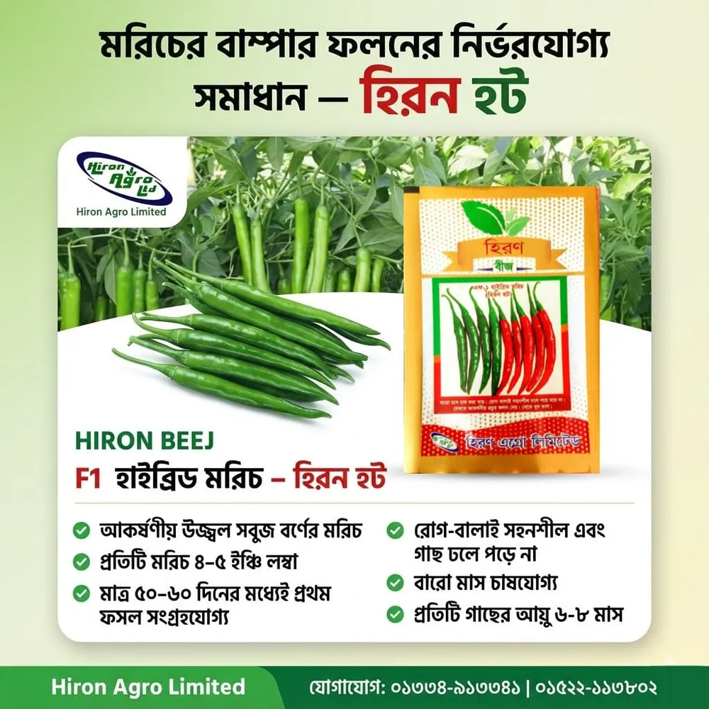F1 হাইব্রিড মরিচ — হিরণ হট - Image 2