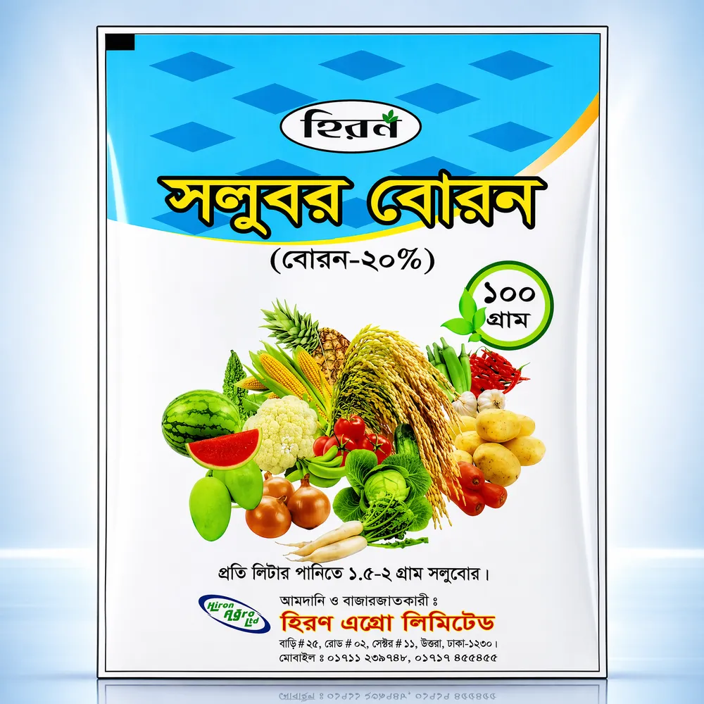 হিরণ সলুবর বোরন