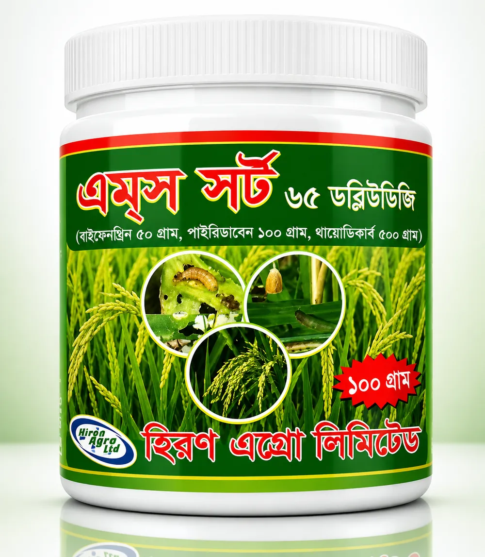 এমস সর্ট ৬৫ WDG